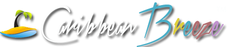 Website title